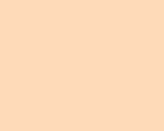 Fondale in Carta 2.72 x 11m Wheat