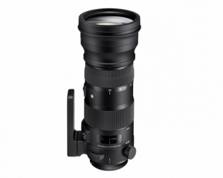SIGMA OB. 150-600 SPORT X NIKON Noleggio