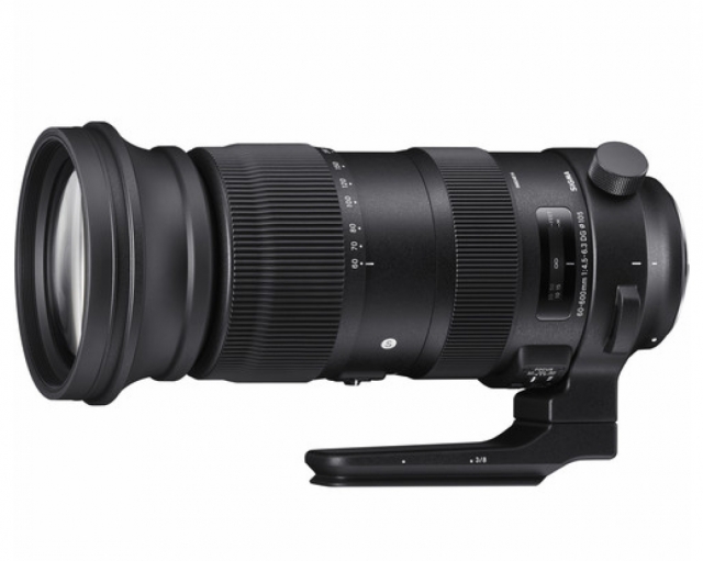 Sigma SIGMAOB. 60-600 f/4.5-6.3 DG OS HSM x Canon Sport-LOCATION