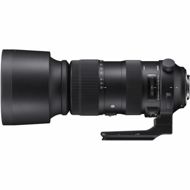 Sigma SIGMAOB. 60-600 f/4.5-6.3 DG OS HSM x Canon Sport-LOCATION