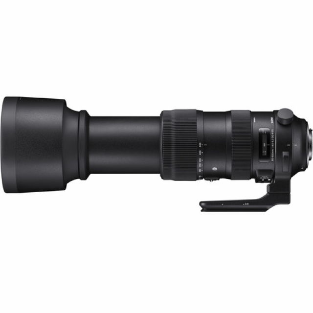 Sigma SIGMAOB. 60-600 f/4.5-6.3 DG OS HSM x Canon Sport-LOCATION