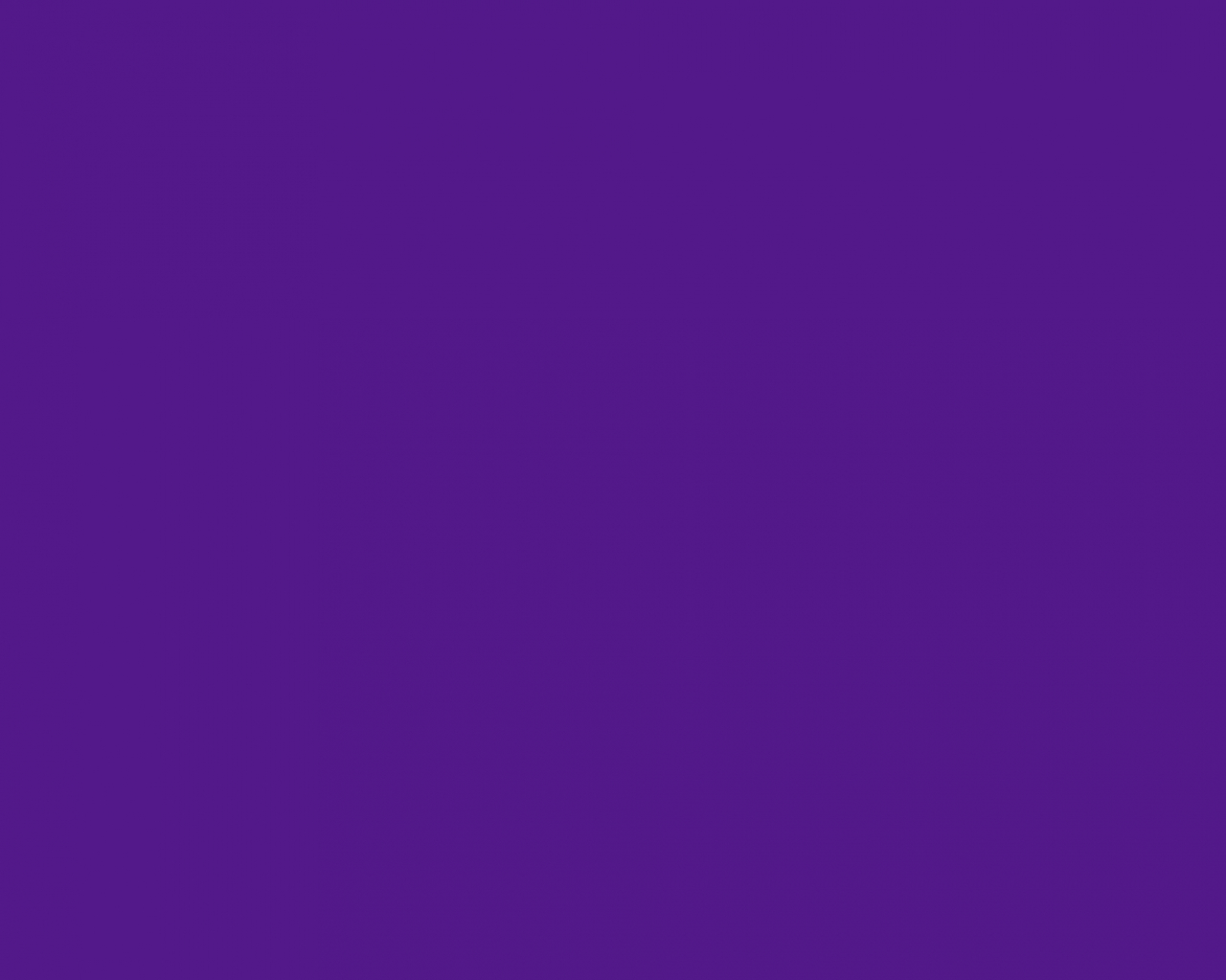 Basic Fondale in Carta 2.72 x 10m Deep Purple