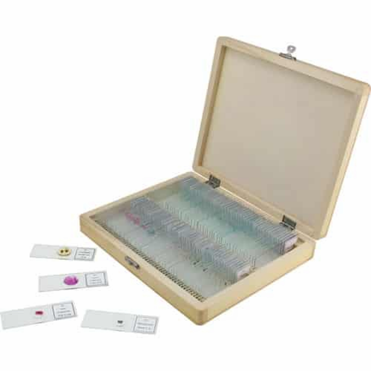 Celestron kit of 100 prepared microscope slides