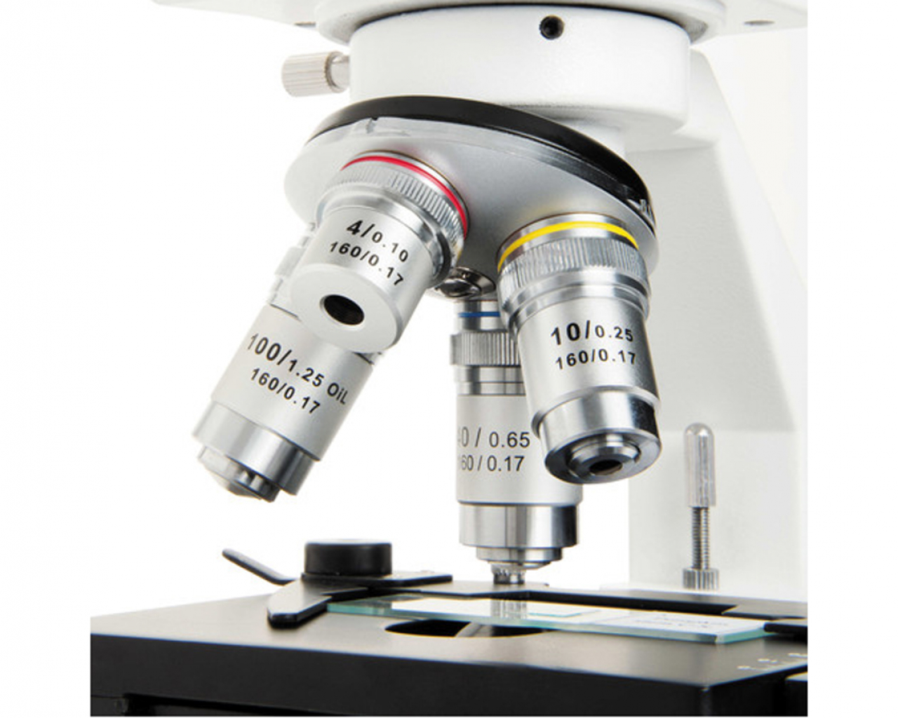 Celestron Microscope Celestron LABS CB2000CF - 6 grossissements de 40x à 2000x, micro platine, binoculaire