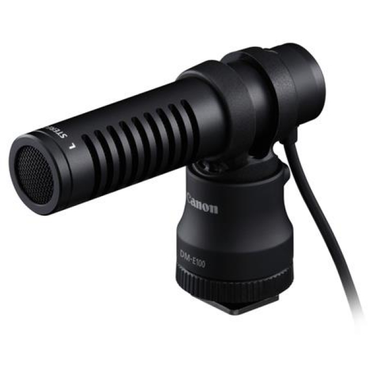 Canon Canon DM-E100