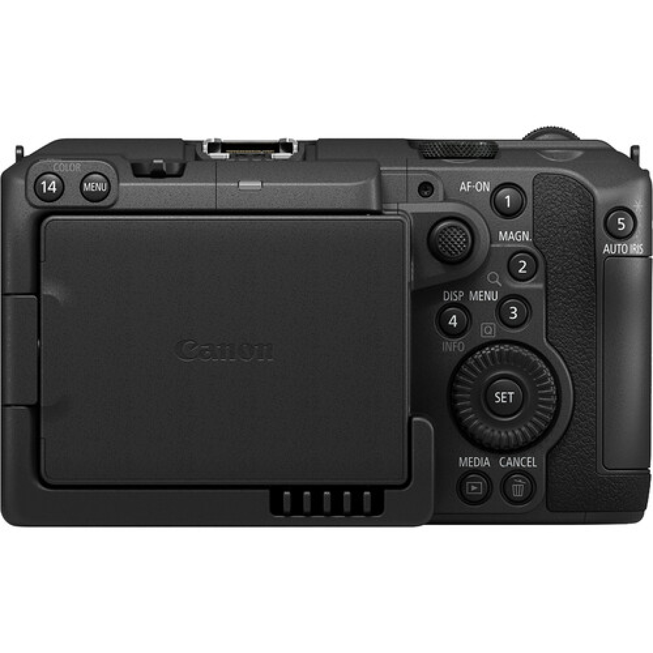 Canon Canon Cinema EOS C50