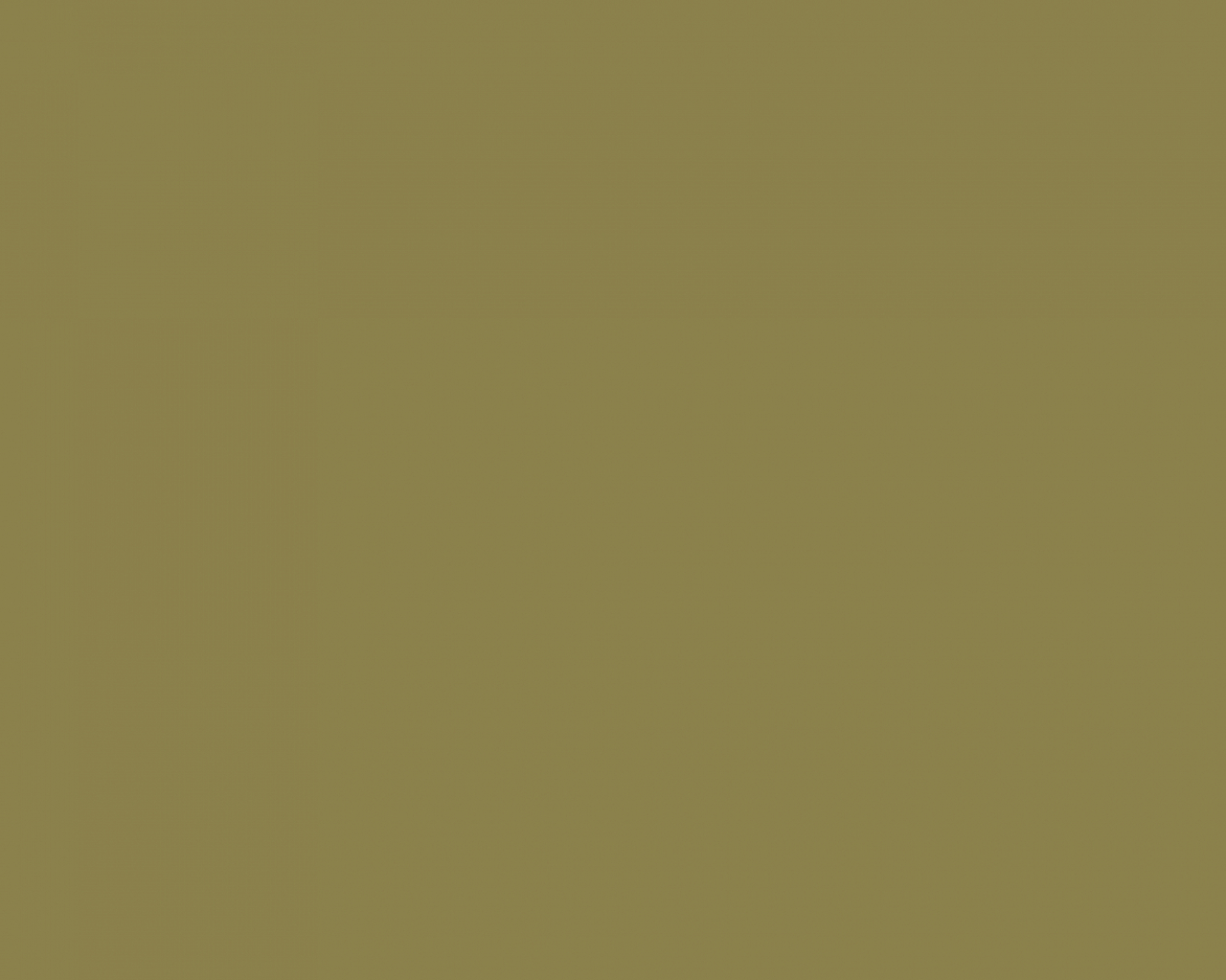 Basic Fondale in Carta 2.72 x 11m Leaf