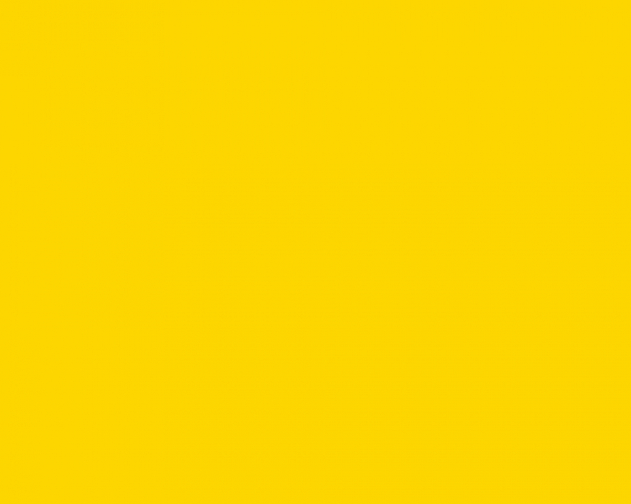 Basic Fondale in Carta 2.72 x 11m Fortythia Yellow
