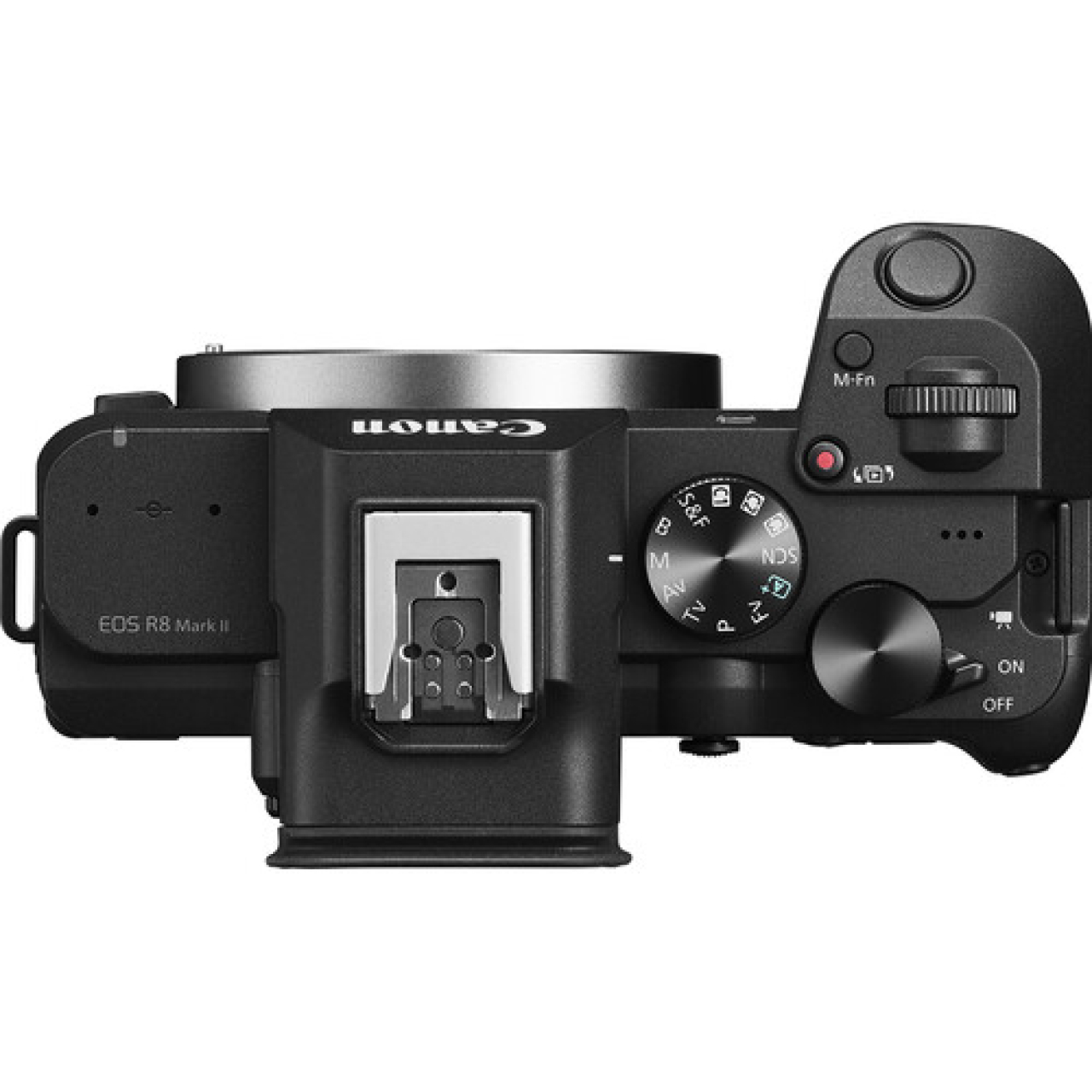 Canon Canon EOS R8 Mark II Mirrorless Camera