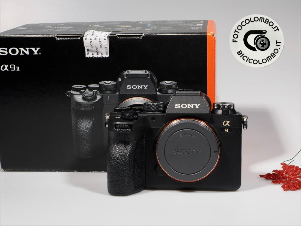 Sony Sony Alpha A9 II 