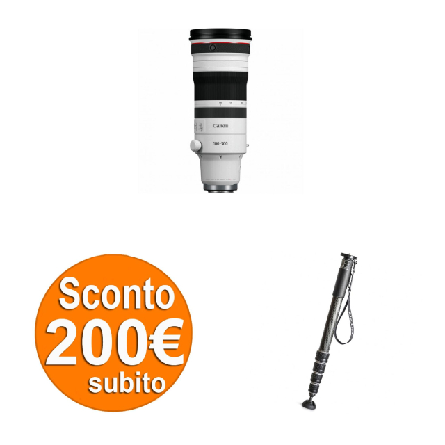Canon Canon RF 100-300mm F2.8 L IS USM