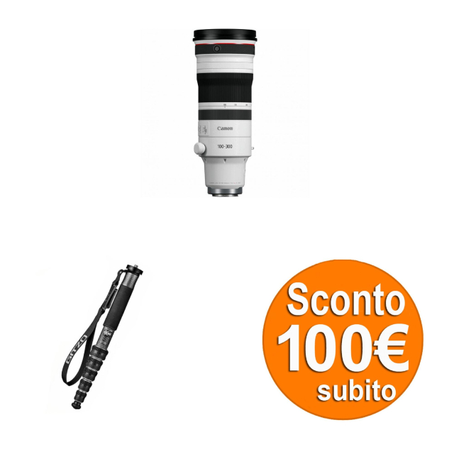 Canon Canon RF 100-300mm F2.8 L IS USM