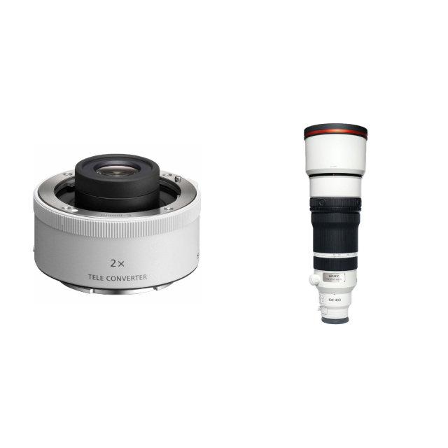 Sony Sony SEL20TC