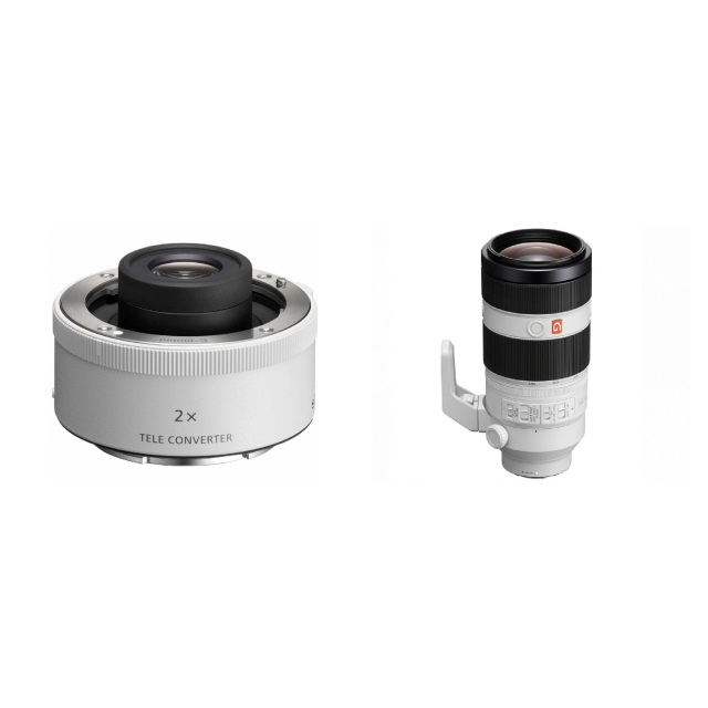 Sony Sony SEL20TC