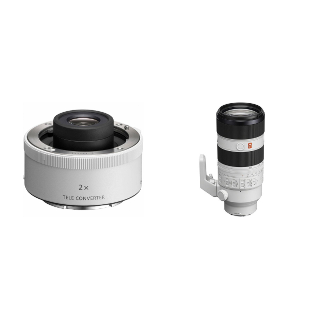 Sony Sony SEL20TC