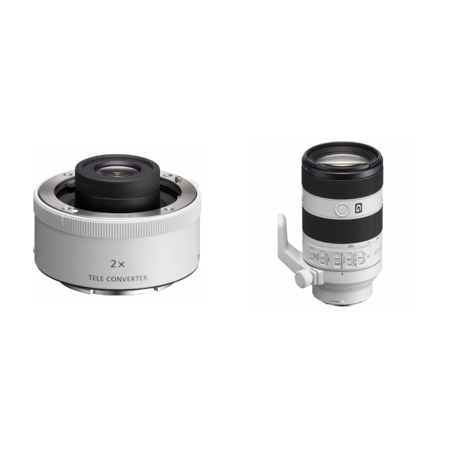 Sony Sony SEL20TC